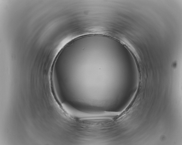 X0000094191291200711021019