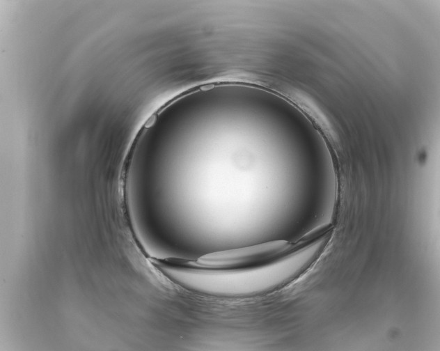 X0000094191292200711021019