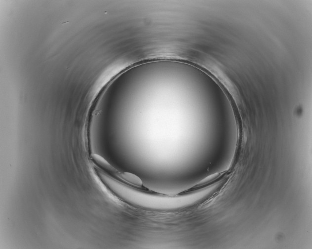 X0000094191293200711021019