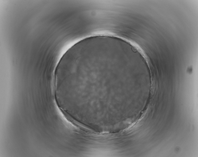X0000094191295200711021019