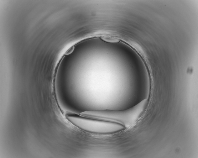 X0000094191296200711021019