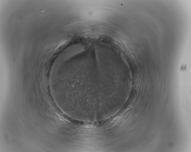 X0000094191297200711021019