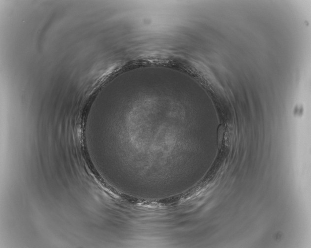 X0000094191298200711021019