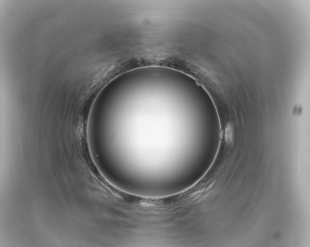 X0000094191299200711021019