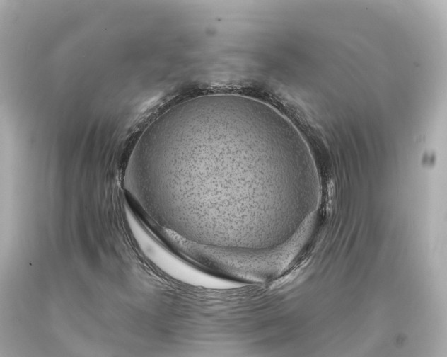 X0000094191300200711021019