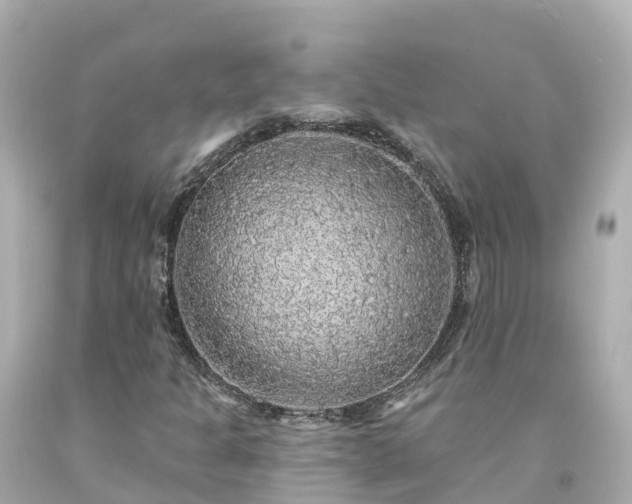 X0000094191301200711021019