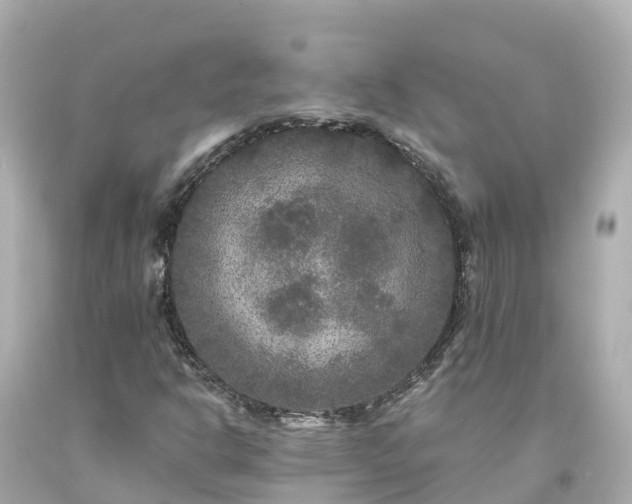 X0000094191302200711021019
