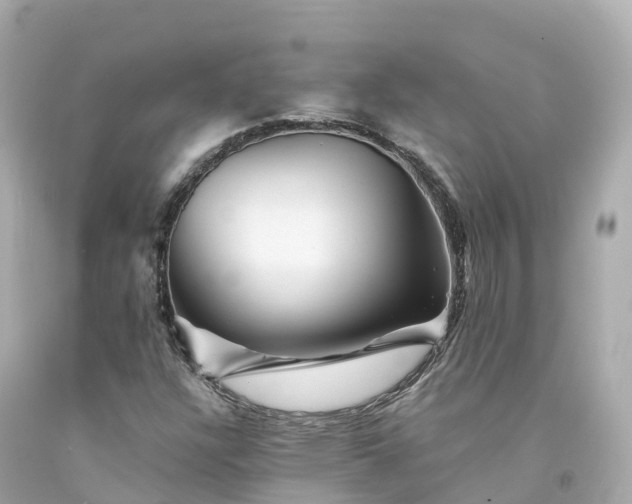 X0000094191304200711021019