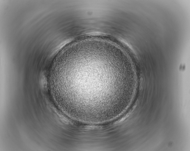 X0000094191305200711021019