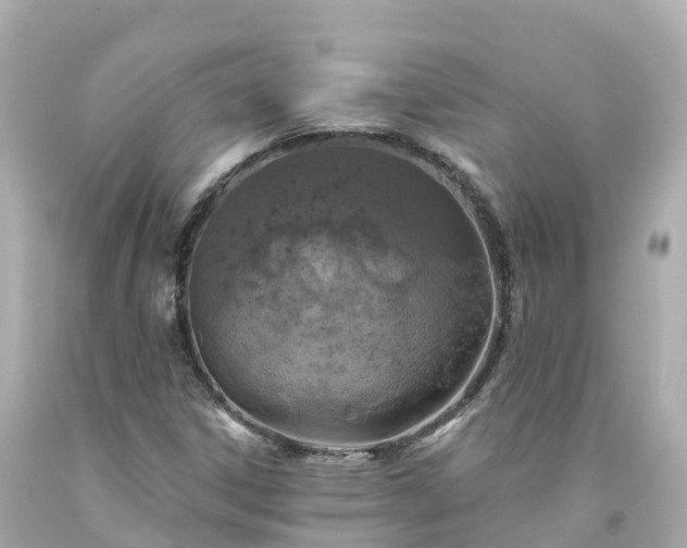 X0000094191306200711021019