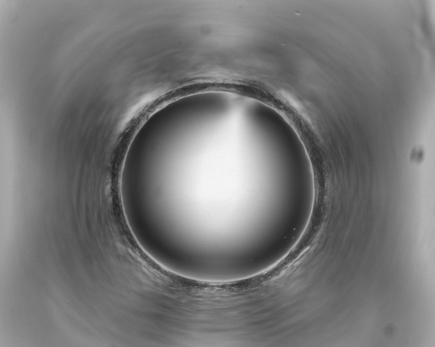 X0000094191307200711021019