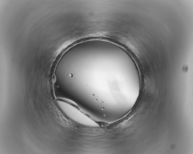 X0000094191308200711021019