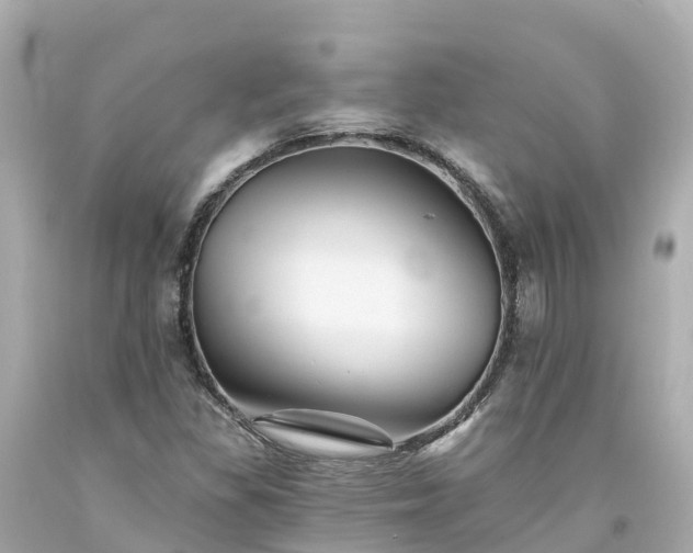 X0000094191309200711021019