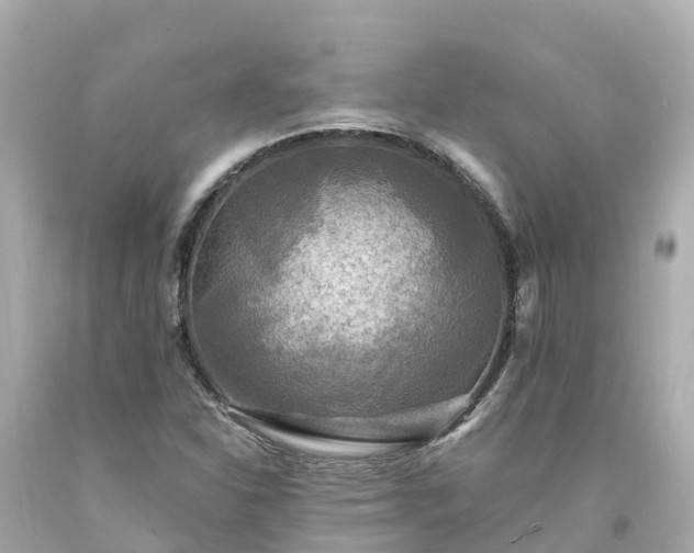 X0000094191310200711021019