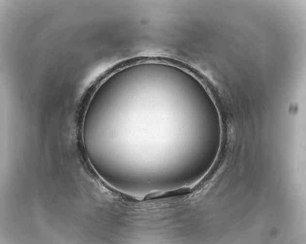 X0000094191311200711021019