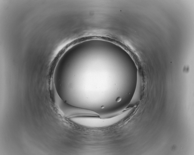 X0000094191312200711021019