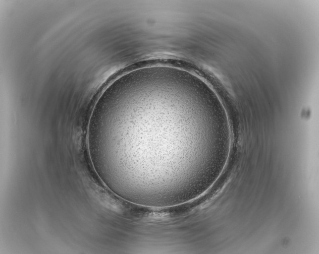 X0000094191313200711021019