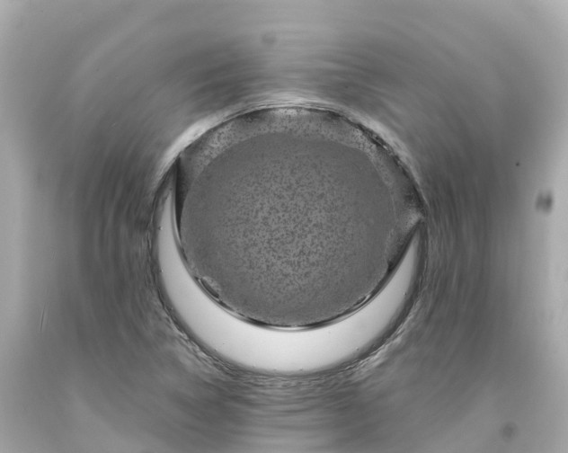 X0000094191314200711021019