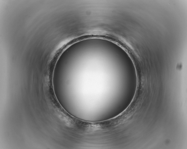 X0000094191315200711021019