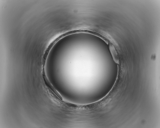X0000094191316200711021019