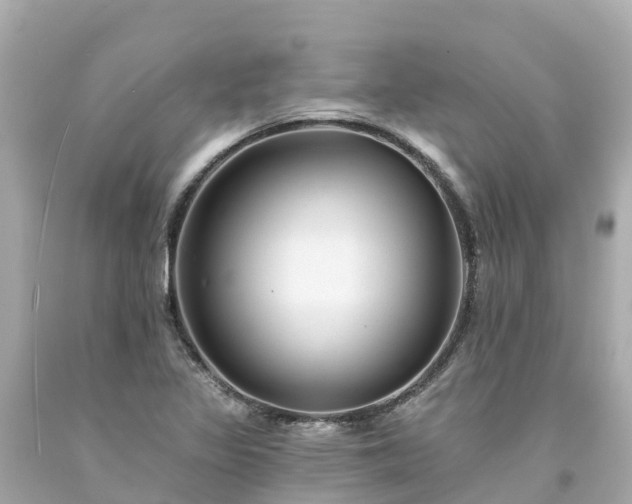 X0000094191317200711021019