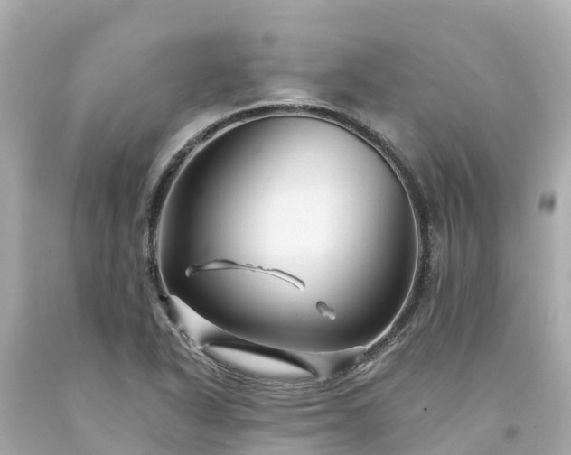 X0000094191318200711021019