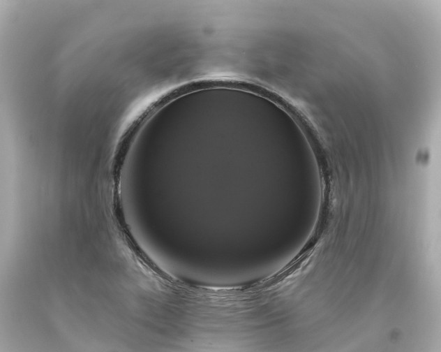 X0000094191319200711021019