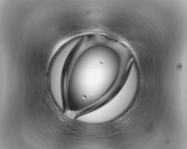 X0000094191320200711021019