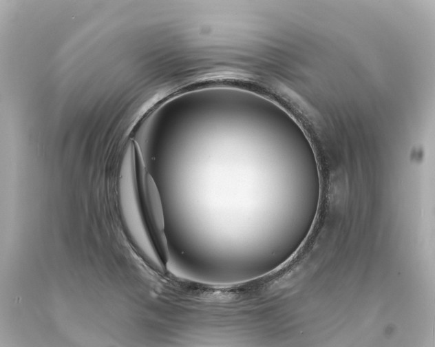 X0000094191321200711021019