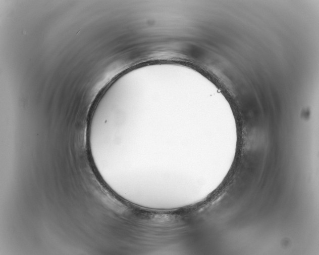 X0000094191322200711021019