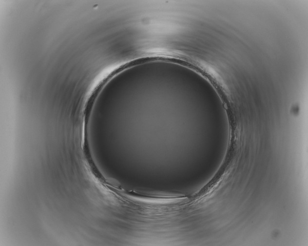 X0000094191323200711021019