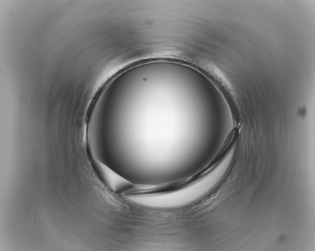 X0000094191324200711021019
