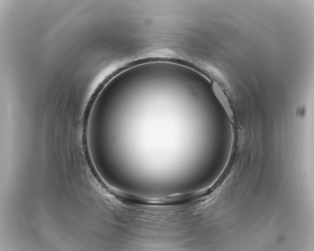 X0000094191326200711021019