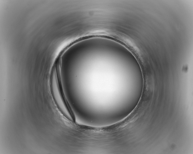 X0000094191328200711021019