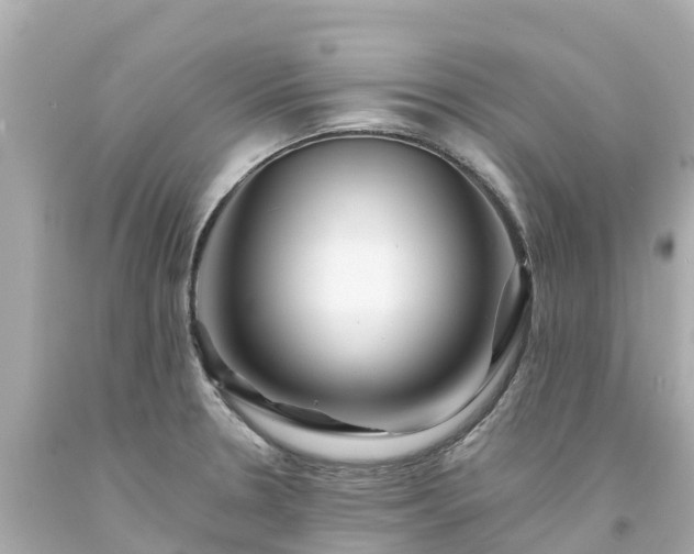 X0000094191330200711021019
