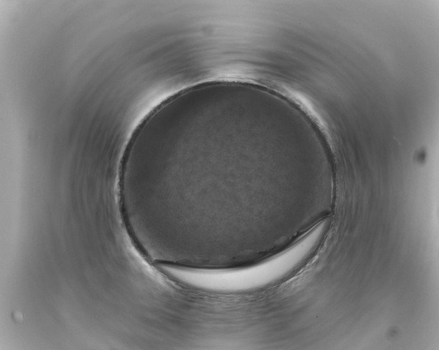 X0000094191331200711021019