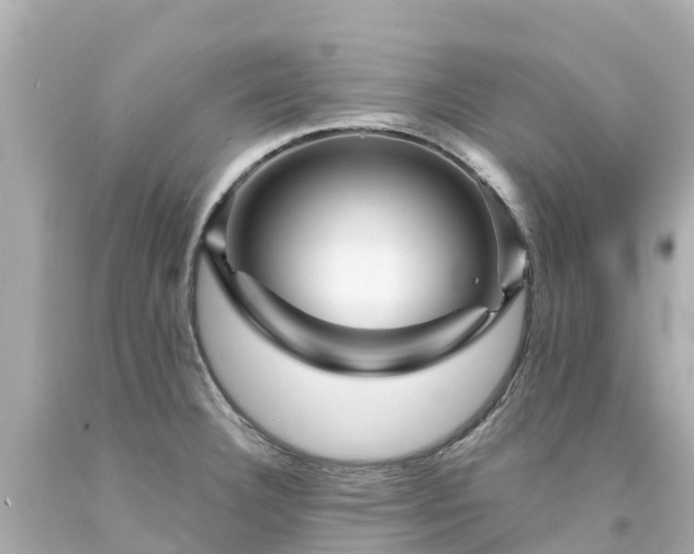 X0000094191332200711021019