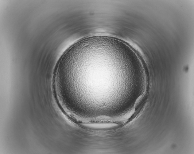 X0000094191333200711021019