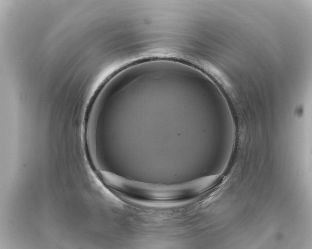 X0000094191334200711021019