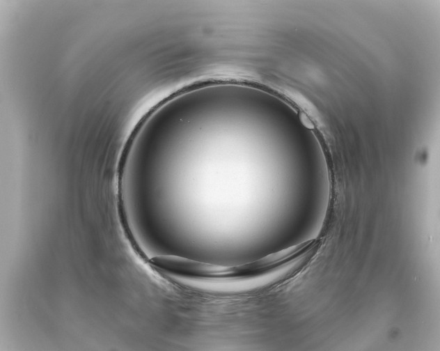 X0000094191335200711021019
