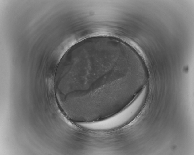 X0000094191337200711021019