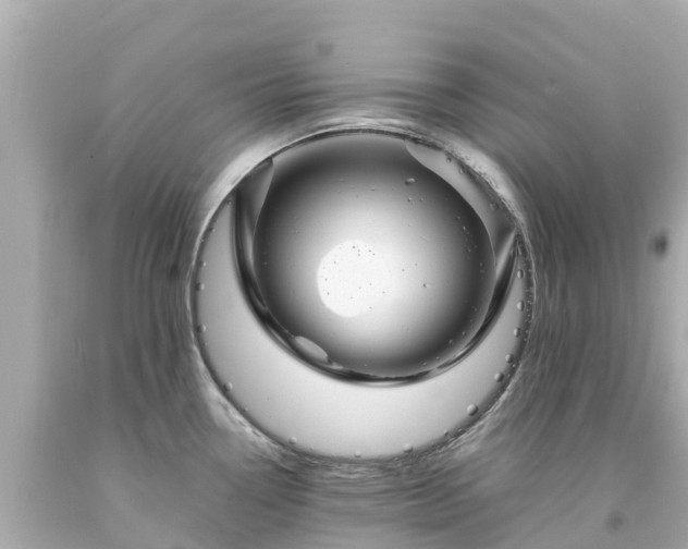 X0000094191338200711021019