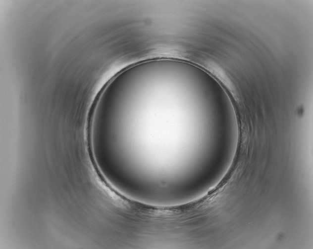 X0000094191339200711021019