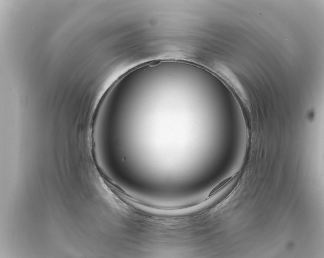 X0000094191340200711021019