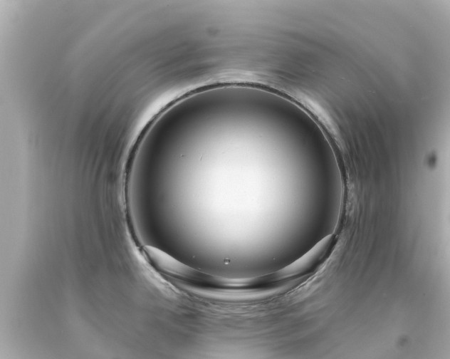 X0000094191342200711021019