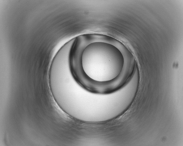 X0000094191344200711021019