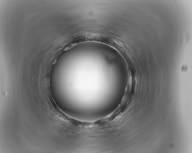 X0000094191345200711021019