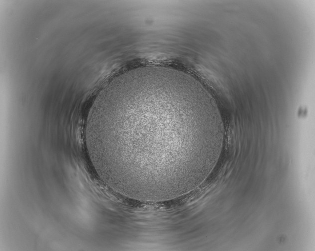X0000094191346200711021019
