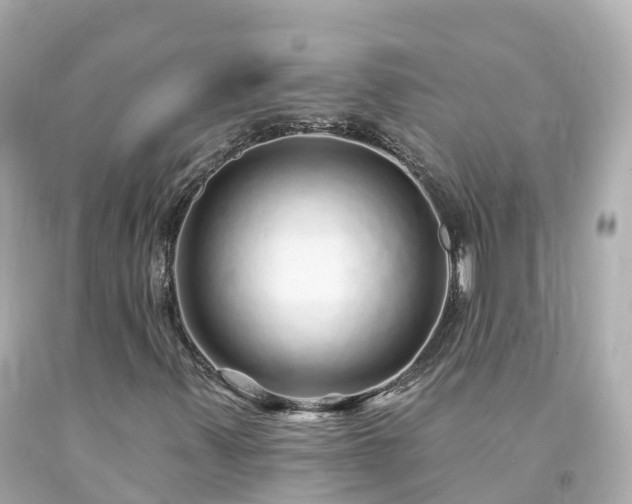 X0000094191347200711021019