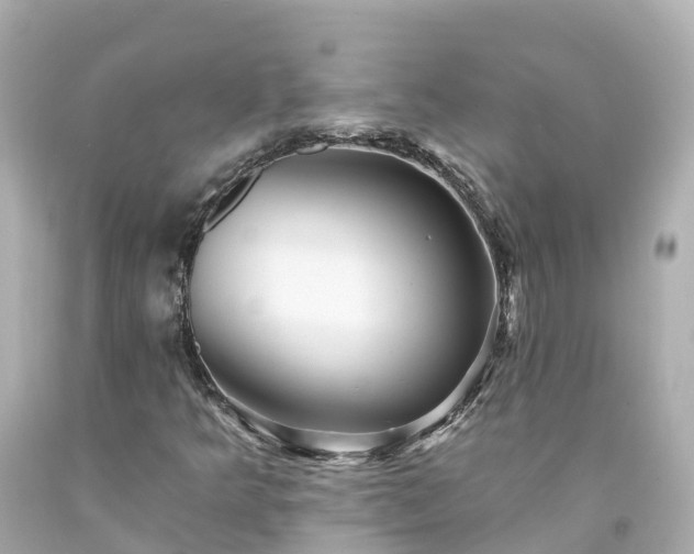X0000094191349200711021018